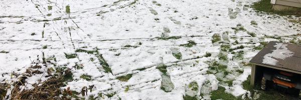 Mo, the robotic lawnmower, tracks in snow on lawn